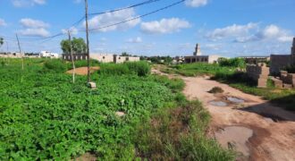 Terrain de 1.520 m² en titre foncier à vendre – Kabala Coro