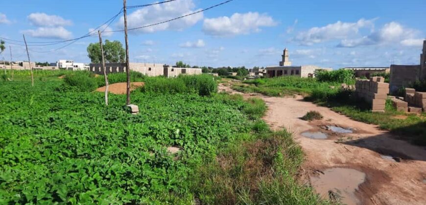 Terrain de 1.520 m² en titre foncier à vendre – Kabala Coro
