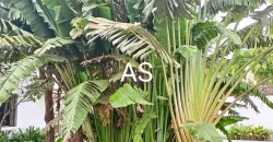 Villa avec piscine à louer à Torokorobougou Villa avec piscine à louer à Torokorobougou