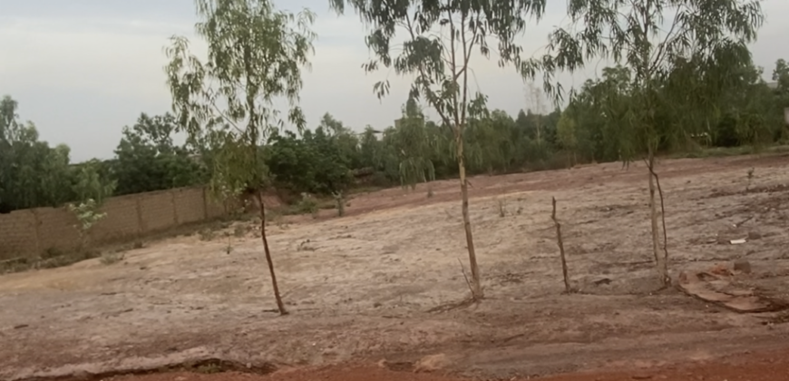 A vendre terrain demi hectares à Magnanbougou canal