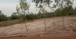 Terrain d’un demi-hectare à vendre – Magnambougou Canal Terrain d’un demi-hectare à vendre – Magnambougou Canal