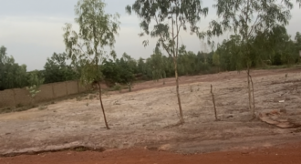 Terrain d&rsquo;un demi-hectare à vendre – Magnambougou Canal
