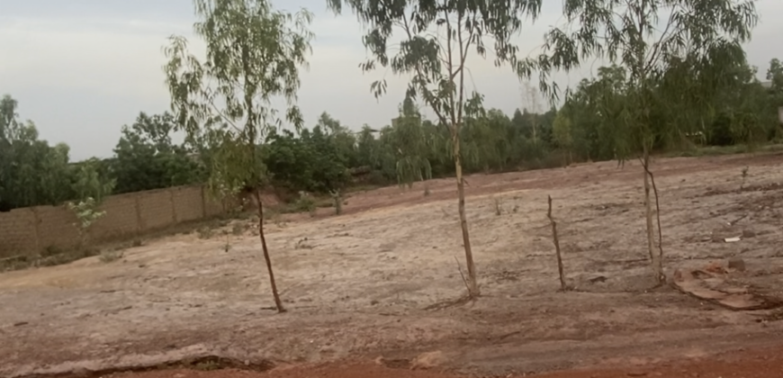 Terrain d&rsquo;un demi-hectare à vendre – Magnambougou Canal