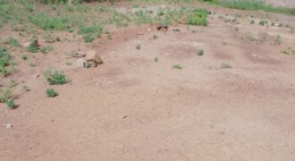 Terrain plat de 367 m² à vendre – Moribabougou, près du marché