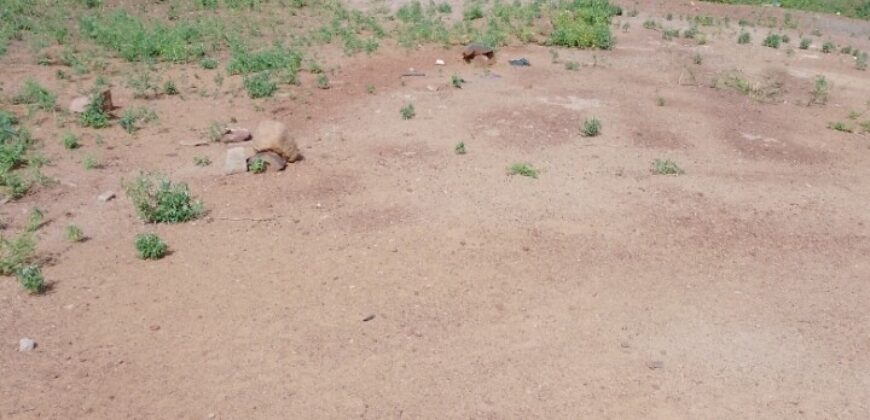 Terrain plat de 367 m² à vendre – Moribabougou, près du marché