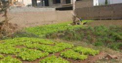 Terrain à vendre ACI2000 Terrain à vendre ACI2000