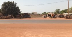 Terrain d’un demi-hectare au bord du goudron à vendre – Banankoro, près de Bramali Terrain d’un demi-hectare au bord du goudron à vendre – Banankoro, près de Bramali