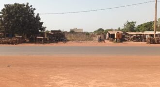 Terrain d&rsquo;un demi-hectare au bord du goudron à vendre – Banankoro, près de Bramali