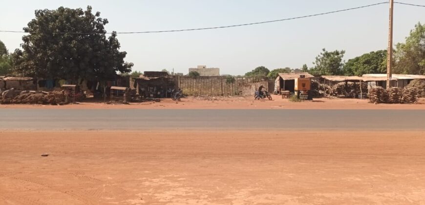 Terrain d&rsquo;un demi-hectare au bord du goudron à vendre – Banankoro, près de Bramali