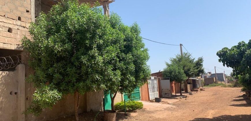 Villa inachevée R+1 à vendre – Sirakoro Méguétana, 300 m²