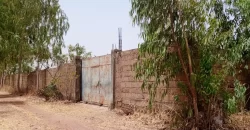 Champ à vendre à Samayana sur la route de Kangaba Champ à vendre à Samayana sur la route de Kangaba