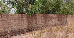 Champ à vendre à Samayana sur la route de Kangaba Champ à vendre à Samayana sur la route de Kangaba