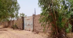 Champ de 3 hectares clôturé en titre foncier à vendre – Samayana, route de Kangaba Champ de 3 hectares clôturé en titre foncier à vendre – Samayana, route de Kangaba