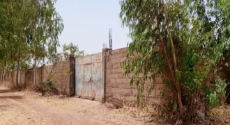Champ de 3 hectares clôturé en titre foncier à vendre – Samayana, route de Kangaba