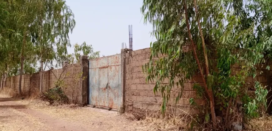 Champ de 3 hectares clôturé en titre foncier à vendre – Samayana, route de Kangaba