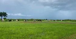 Champ TF à vendre à Zantiguilla Champ TF à vendre à Zantiguilla