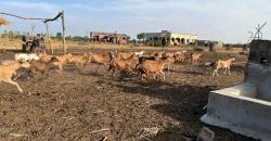 Champ TF à vendre à Zantiguilla Champ TF à vendre à Zantiguilla