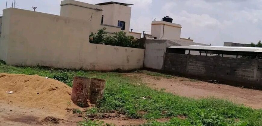 Parcelle de 300 m² en titre foncier à vendre – Cité Tellem