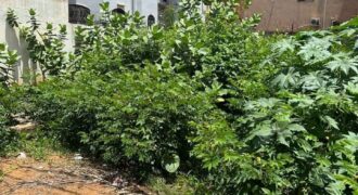 Parcelle de 300 m² en titre foncier à vendre – Bolé SEMA, près de l&rsquo;école CARNO