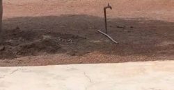 À vendre un champ de 05 hectares Zantiguila À vendre un champ de 05 hectares Zantiguila