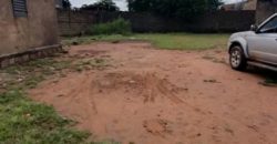 Location Une cour clôturés à Niamana Location Une cour clôturés à Niamana