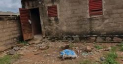 Location Une cour clôturés à Niamana Location Une cour clôturés à Niamana