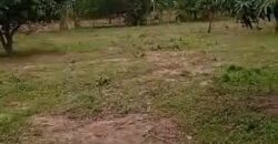 Vente champ de 27 hectares à Badougou Nafadji Vente champ de 27 hectares à Badougou Nafadji