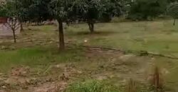 Champ de 27 hectares en titre foncier à vendre – Badougou Nafadji Champ de 27 hectares en titre foncier à vendre – Badougou Nafadji