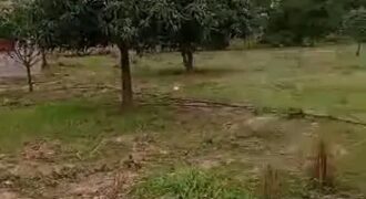 Champ de 27 hectares en titre foncier à vendre – Badougou Nafadji