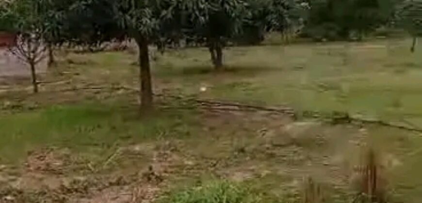 Champ de 27 hectares en titre foncier à vendre – Badougou Nafadji
