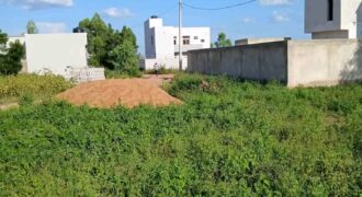 Deux lots contigus de 300 m² en titre foncier à vendre – Diatoula