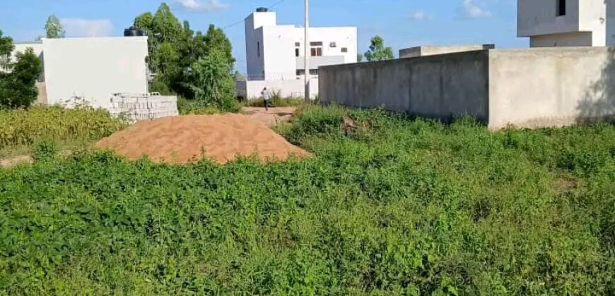 Deux lots contigus de 300 m² en titre foncier à vendre – Diatoula