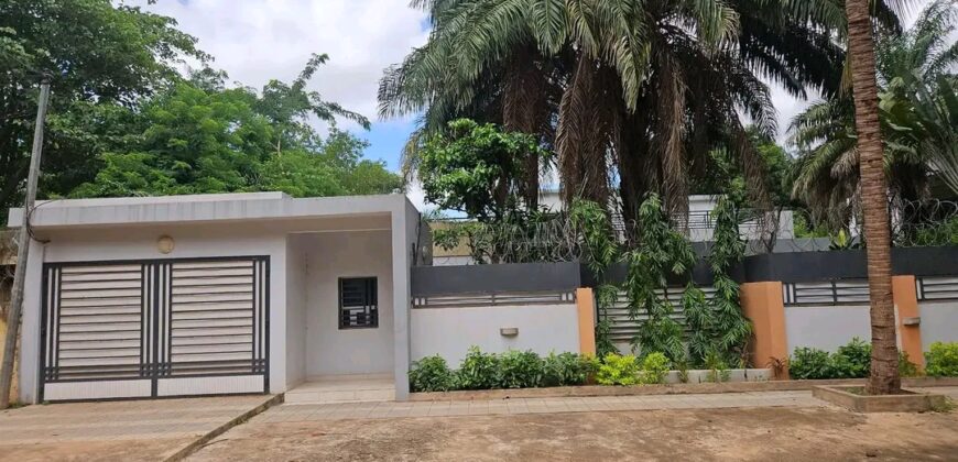 Villa duplex 7 chambres avec piscine et jardin à louer – Magnambougou Faso Kanu