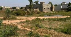 Deux lots contigus en titre foncier à vendre – Diatoula, vers la cour chinoise Deux lots contigus en titre foncier à vendre – Diatoula, vers la cour chinoise