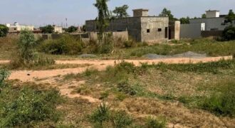 Deux lots contigus en titre foncier à vendre – Diatoula, vers la cour chinoise