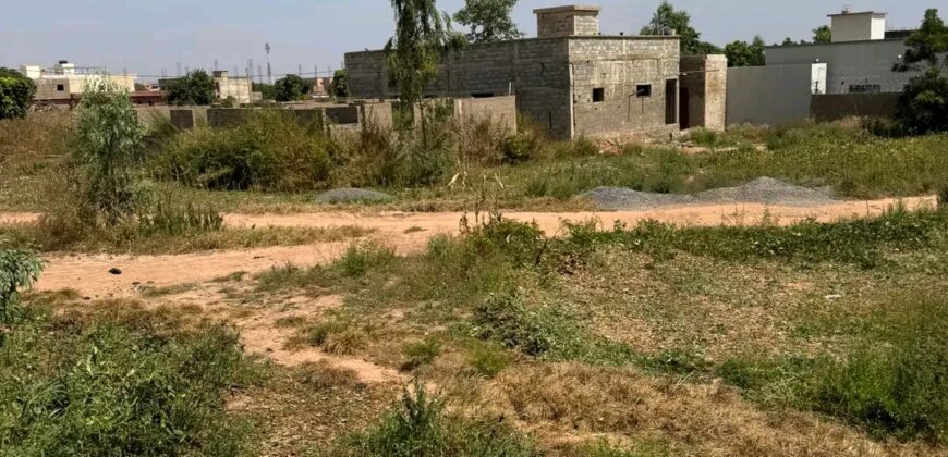 Deux lots contigus en titre foncier à vendre – Diatoula, vers la cour chinoise