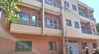 Appartements neufs 1 et 2 chambres à louer – Hippodrome