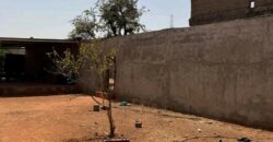 Vente une cour clôturée à Siracoro Vente une cour clôturée à Siracoro