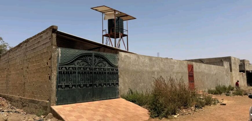 Cour clôturée et aménagée de 1.000 m² à vendre – Siracoro, vers l&rsquo;école MAFA