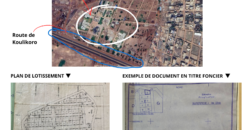 Lots de 300 m² en titre foncier individuel à vendre – Moribabougou Lots de 300 m² en titre foncier individuel à vendre – Moribabougou