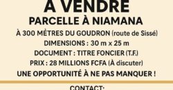 VENDRE TERRAIN A NIAMANA VENDRE TERRAIN A NIAMANA