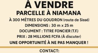 VENDRE TERRAIN A NIAMANA