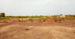 02 Terrains Collés – Safo – Torodo/Banconi /Bamako, Mali 02 Terrains Collés – Safo – Torodo/Banconi /Bamako, Mali