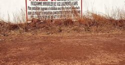 02 Terrains Collés – Safo – Torodo/Banconi /Bamako, Mali 02 Terrains Collés – Safo – Torodo/Banconi /Bamako, Mali