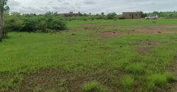 02 Terrains Collés – Safo – Torodo/Banconi /Bamako, Mali 02 Terrains Collés – Safo – Torodo/Banconi /Bamako, Mali