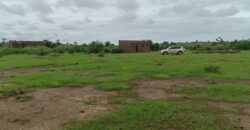 02 Terrains Collés – Safo – Torodo/Banconi /Bamako, Mali 02 Terrains Collés – Safo – Torodo/Banconi /Bamako, Mali