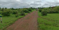 02 Terrains Collés – Safo – Torodo/Banconi /Bamako, Mali 02 Terrains Collés – Safo – Torodo/Banconi /Bamako, Mali