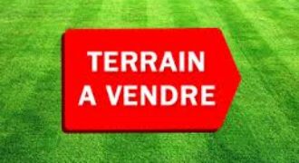 Deux lots contigus de 300 m² à vendre – Safo, derrière Banconi