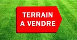 02 Terrains Collés – Safo – Torodo/Banconi /Bamako, Mali 02 Terrains Collés – Safo – Torodo/Banconi /Bamako, Mali