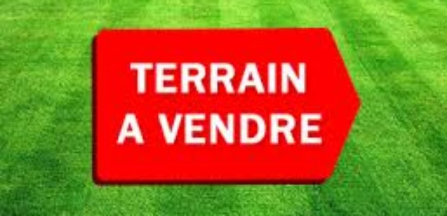 02 Terrains Collés – Safo – Torodo/Banconi /Bamako, Mali